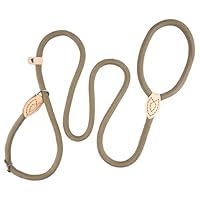 Retrieverleine mit Zugstopp, 150 cm Hundeleine mit Halsband, Einstellbar Hundeleine Geflochten, Weiche Trainingsleine für Kleine Mittlere und Große Hunde
