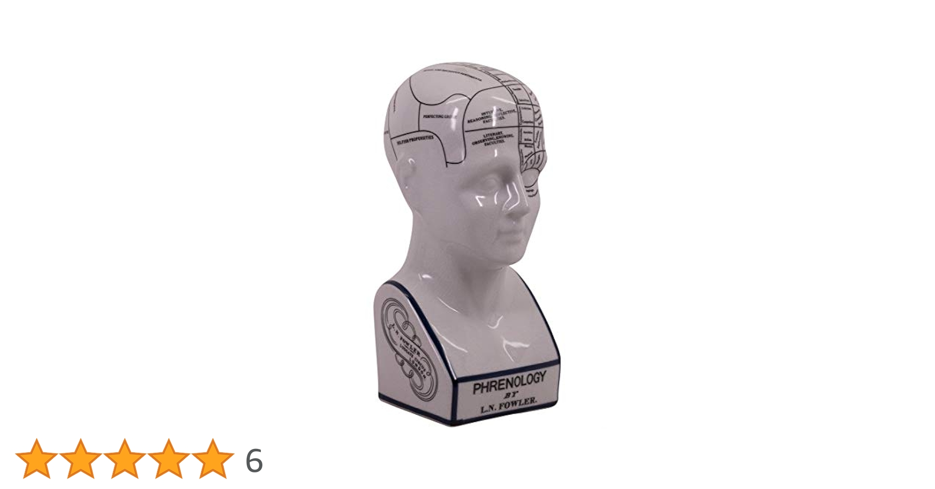 THE PHRENOLOGY オブジェ　サイズ L THE PHRENOLOGY-S – GLOBAL FORME CONCRETE