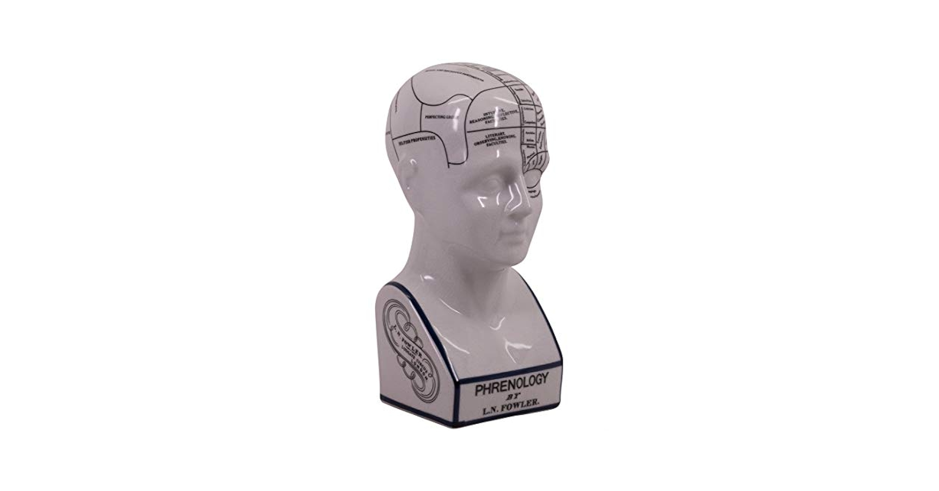 THE PHRENOLOGY オブジェ　サイズ L THE PHRENOLOGY オブジェ サイズ L THE PHRENOLOGY-L – GLOBAL
