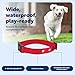 PetSafe Replacement Collar Strap with 2 Holes - Adjustable Design for In-Ground & Wireless Fence Collars - Lightweight Polyester - Secure, Comfortable Fit