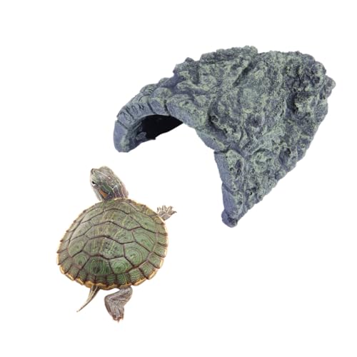 PartyKindom ̋Tp঑ ^AB  ޓK XgXyK