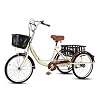ZJZ Driewielige fiets 20 inch volwassen driewielers met rugleuningzitje 3-wielige fiets voor winkelen picknick…