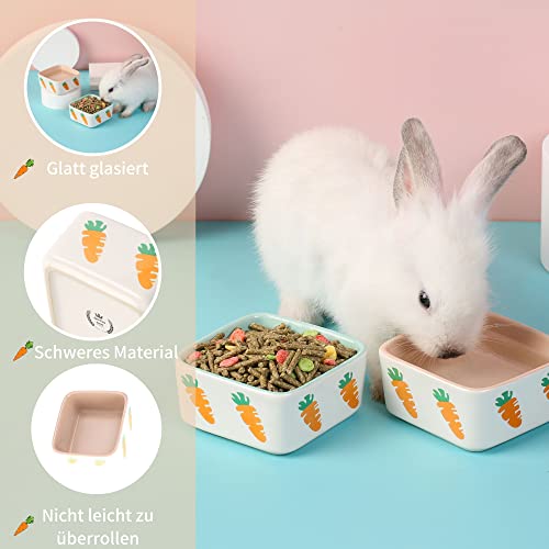 JanYoo Ciotola per conigli in ceramica, porcellini...