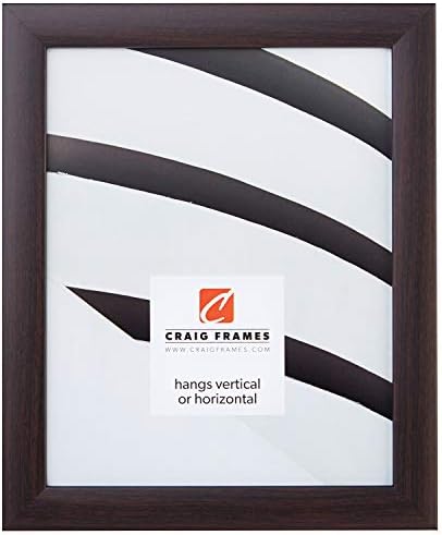 Craig Frames 23247778 20 by 20-Inch Picture Frame, Smooth Wood Grain Finish, 1-Inch Wide, Brazilian Walnut