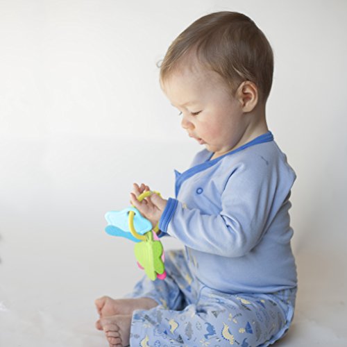 Green Sprouts Teething Keys, Multicolor, 3 Months+ #TOP3