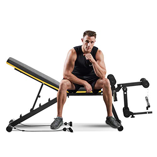 ZENOVA Adjustable Weight Bench, Multi-Purpose Workout Bench Flat Incline Decline Exercise Bench with Leg Extension and Curl , Home Gym Strength Training Bench (Yellow Line)