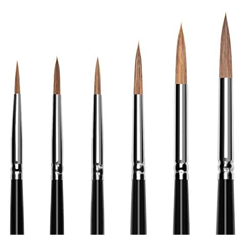 Acrylic Paint Brush Set, 6pcs Sable Hair Brushes for All Purpose Oil Watercolor Face Painting Artist Professional Kits Cover