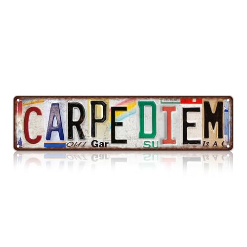 TREEPERI Vintage Carpe Diem Street Sign Wall Decor Metal Tin Signs for Bar Home Bedroom Garage