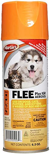 Flee 6.5 oz IGR Aerosol Spray