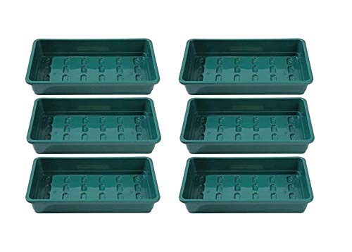 Britten & James Packung mit 6 Profi-Qualität Seed-Schalen ohne Löcher für Töpfe, Kies oder Zellenhöhleneinsätze Große, grüne Schwerlastschalen aus extra dickem Kunststoff Cover