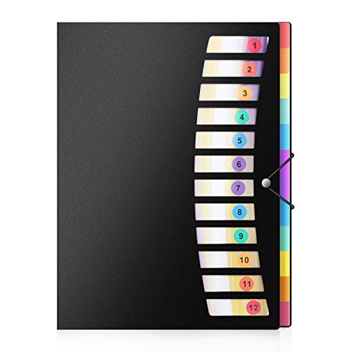 ABClife 24 Pockets Poly Project Organizer Letter Size,Expanding Project Sorter Heavy Duty Plastic Document Organizer,Rainbow Accordion Folders A4 Hold 240sheets with Elastic Cord/Color Label,Black