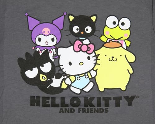 Sanrio Boy's Hello Kitty and Friends Character Kids Short Sleeve T-Shirt (Large) Grey2