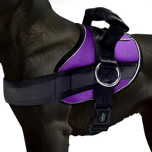 Joyride Basic Essential Dog Harness 1.0 - Small, Medium, Large Dogs, No-Pull Pet Vest with 3 Side Rings for Leash Placement, Adjustable for Training (Purple Majesty, S)