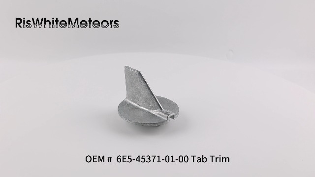 Amazon.com: 6E5-45371-01-00 6E5-45371-00-00 Trim Tab Zinc Anode