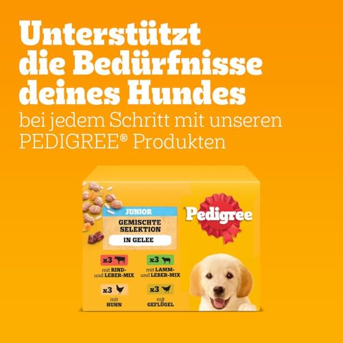 Pedigree DOGCARE Hundefutter Portionsbeutel Chunks in Gelee Junior 4 x 12 x 100g