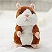 siqiwl Peluches 15 Cm Parler Hamster Souris Animal en Peluche Jouet Mignon Doux Animal Poupée Parler Parler Imiter Magnétophone Hamster Jouet Drôle Enfants Cadeaux