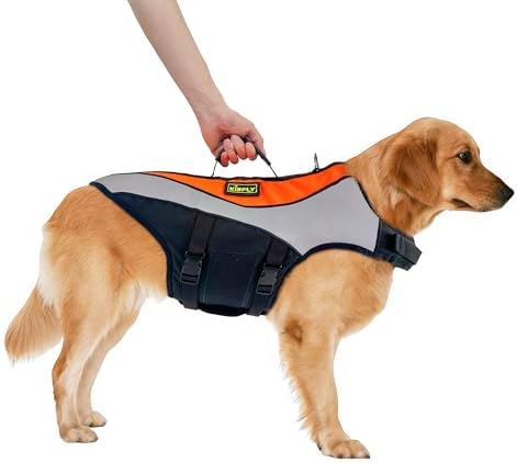 Reflective Dog Life Vest for Boating and Swimming – Heavy-Duty Adjustable Swimming Vest with Rescue Handle for Large Breeds (XXL, Orange)