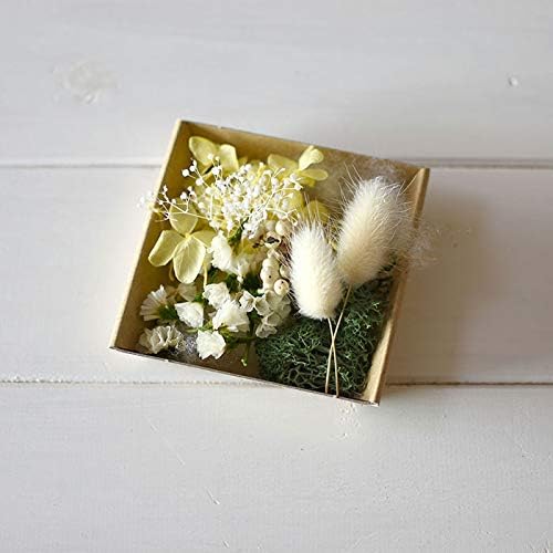 ハーバリウム 花材のみ あじさい かすみ草 ラグラス スターチス プリザーブドフラワーキット K 緑色イエロー ハーバリウム 花材のみ あじさい かすみ草 ラグラス スターチス プリザーブドフラワーキット K 緑色イエロー