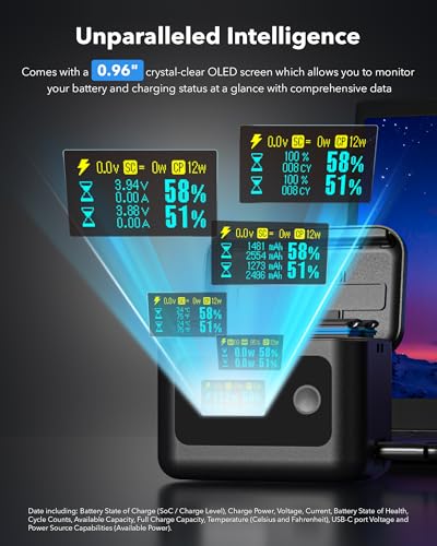 Image of SYMIK Battery Charger Insta360 X5, 24W Dual-Slot PD Fast Charging Case | OLED Screen, Intelligent Charge Hub for Insta 360 X5 Battery Accessories, Smart Display Shows Battery SOC, Charger Only