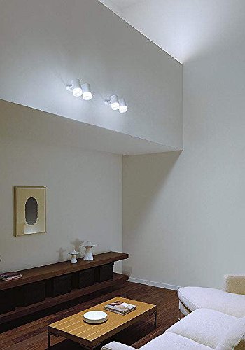 Amazon | 大光電機（DAIKO） スポットライト LED 8W×2灯 電球色