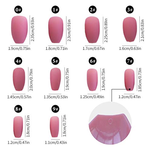 72 Pcs (3 Packs) Coffin Matte Press on Nails, Ballerina Professional Nail Art Tips Set, Medium False Nails, DIY Acrylic Fake Nails with Nail Adhesive Tabs for Women(Rose, Camel & Dark Red)