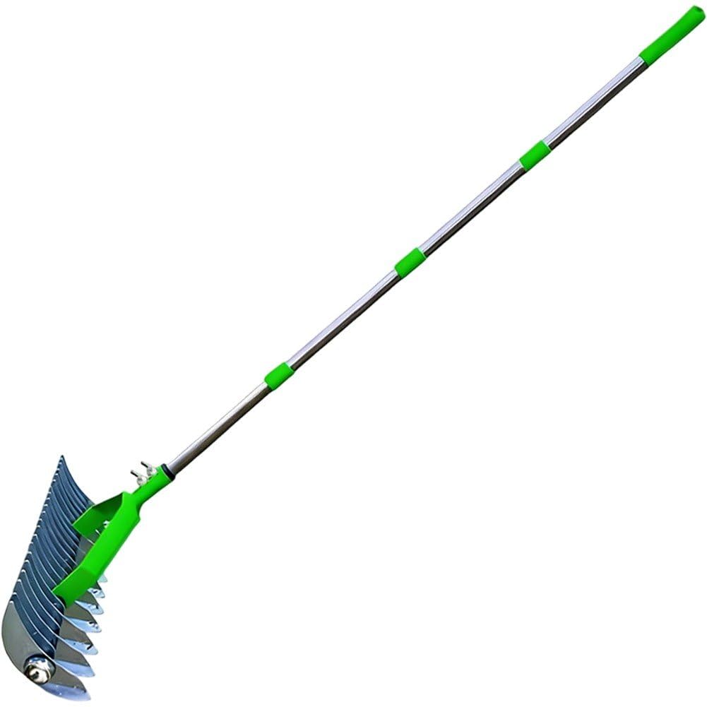 Outil de jardinage pour pelouses et fermes pour nettoyer le gazon mort