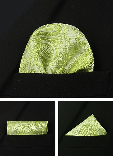 Image of Paisley Floral Mens Tie Formal Necktie Pocket Squares Ties Clips Cufflinks Classic for Men Set