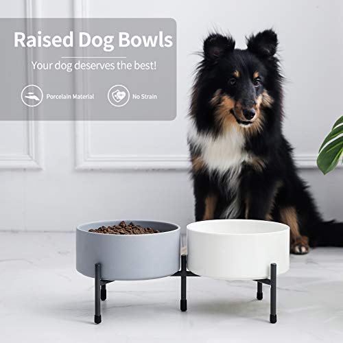 32 oz Ceramic Dog Cat Bowl Set of 2 with Elevated Metal Stand, 6 Inch Ceramic Round Pet Food and Water Feeder Bowl Dish… - Image 4