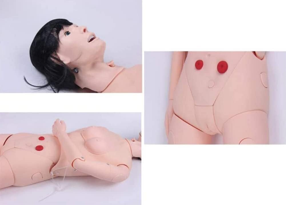 Patientenpflegesimulator, multifunktionales Kombinations-Pflegetrainingspuppenmodell, für die Schulung von Fähigkeiten und Unterrichtsmaterialien für Schüler, 170 cm