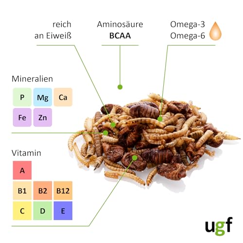 UGF - mélange d'insectes, Seau de 500 millilitres, Nourriture pour hérissons, gerbilles, Hamsters, Rats, lézards - vers de Farine, Larves de Mouches Soldats, vers à Soie