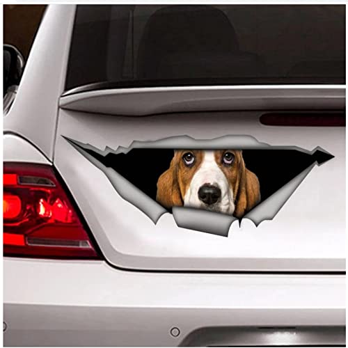 WYZDGTD Basset Hound calcomanía para Coche calcomanía Cover
