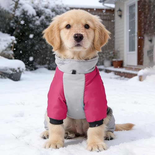 Hunde-Wintermantel, Ganzkörper-Abdeckung, warmer Fleece-Hunde-Schneeanzug mit integriertem Geschirr, wasserdicht, winddicht, Welpenpuffer mit 4 Beinen, reflektierend, Rollkragen, kaltes Wetter, Rosa