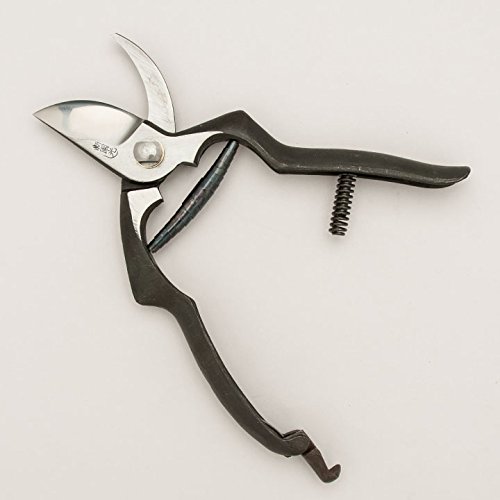 Amazon | 東北打刃物 新国光 剪定鋏 東北型 | 園芸用はさみ