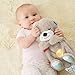 Imagen de Fisher-Price Nutria Hora de Dormir