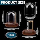 Zoom IMG-2 ph pandahall orologio vetro espositore Zoom IMG-2 ph pandahall orologio vetro espositore