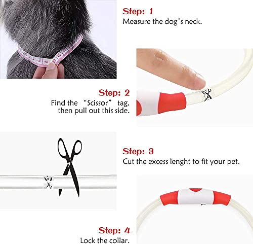 iTayga leuchthalsband Hund, USB-aufladbar und wasserdicht hundehalsband, verstellbare Länge, Sicherheitshalsband für Hunde und Katzen, 3 Modi, Rot