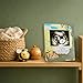 Wooden Ultrasound Picture Frame - Classic Bear & Friends Design, First Baby Announcement Sonogram Keepsake, Milestone Sign for Nursery Decor, Shower Gift & Decoration for New Parents