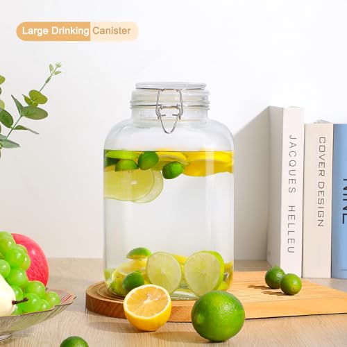 1 Gallon Wide Mouth Glass Jar with Airtight Lid for Storage, Canning & Fermenting