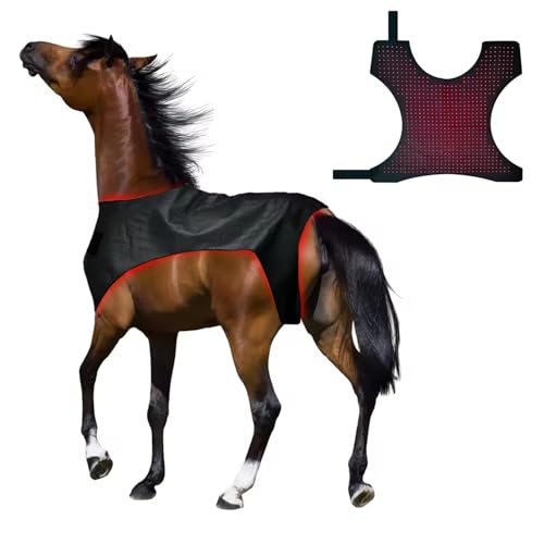 FSDLJSP Red Light Therapy for Horses