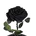 Preserved Roses Black Roses Handmade Real Rose in Glass Dome, Preserved Roses Never Withered Romantic Gifts for Her, Mother's Day, Birthday Gifts for Women (9 inch, Black)