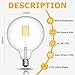 Bonlux 8W G125 LED Globe Light Bulbs, E26 Large Dimmable Filament Bulb Warm White 2700K, Vintage LED Edison Bulbs 60W Equivalent Round Replacement Bulbs, Clear Glass Globe Bulb 800LM, 1 Pack