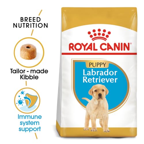 Image of Royal Canin Labrador Retriever Puppy Food, 200 Grams, Dry Food, Supports Immune System & Digestive Health, Promotes Healthy Growth & Weight