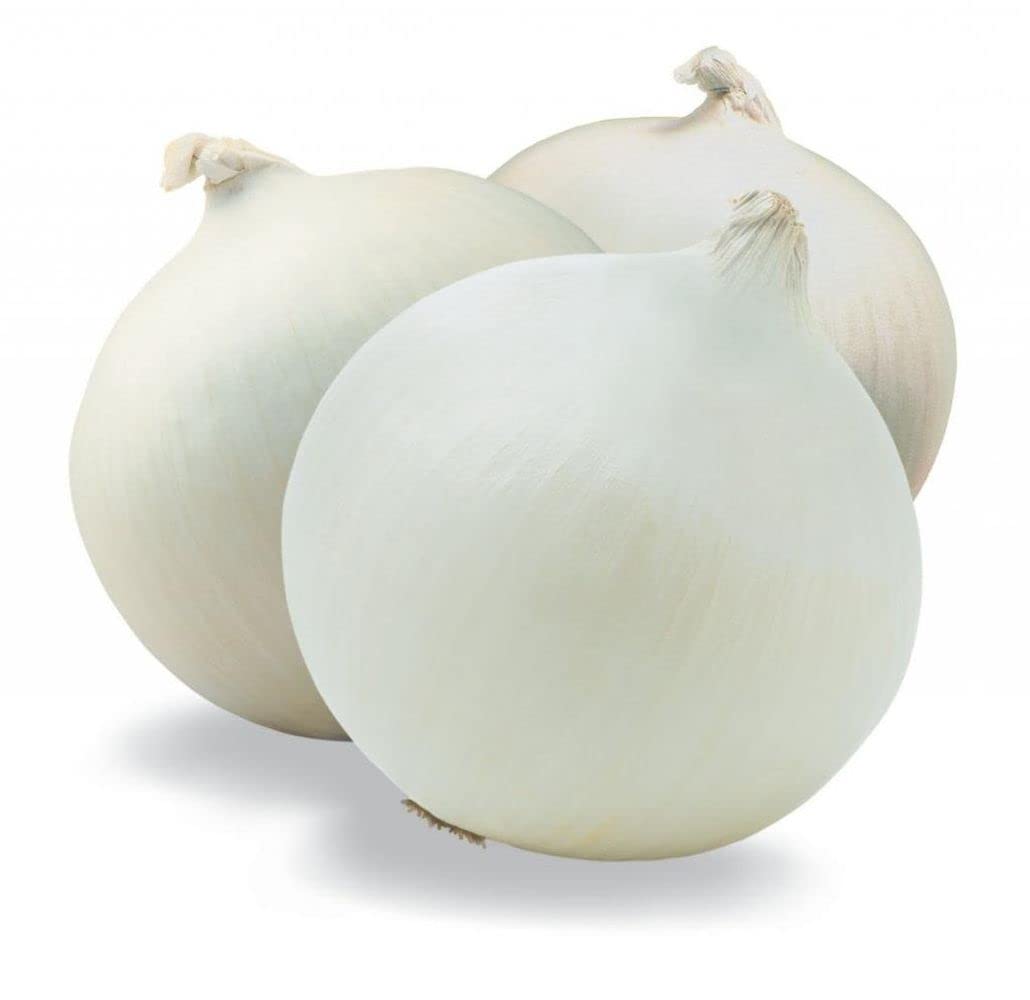 Flare Seeds White Onion Vegetable Seeds Pack of 295 Seeds (B09C44GYV8) Amazon Price History, Amazon Price Tracker
