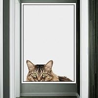 Framed Canvas Wall Art Cat Animals Cat Chic Multicolor Photography Urban - 16x24 inches