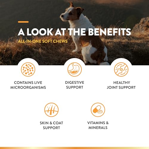 Naturvet 79903736 All-In-One Dog Supplement thumb #4