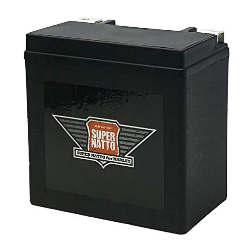 新品 未使用 2台セット SUPER NATTO バイク バッテリー 65948-00S YTX14-BS 65948-00B