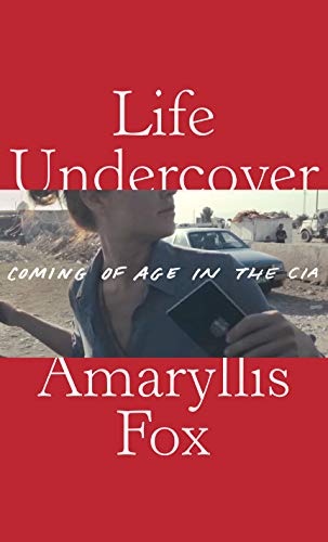 Life Undercover view 2