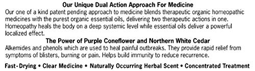 Forces Of Nature – Natural, Organic, H-Balm Control Extra Strength Cold Sore, Fever Blister Treatment (11Ml) Non Gmo, No Harmful Chemicals -Fast Relief For Tingling, Burning And Itching Pain. #TOP4