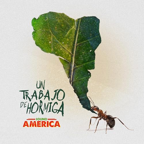  Por la avenida