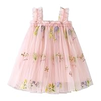 bebeone Vestido de verão para bebês e crianças pequenas tule tutu floral lindo vestido de festa princesa, #1 Rosa, 6-12 Meses